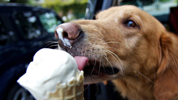 GettyImages-137132019-640×360